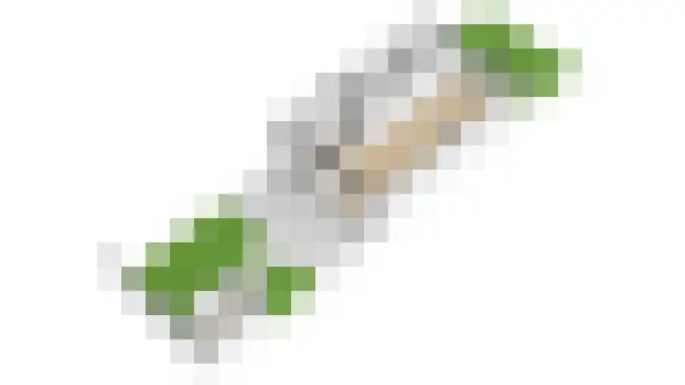 Mr. Sickeszlaan 14 Utrecht thumbnail 62