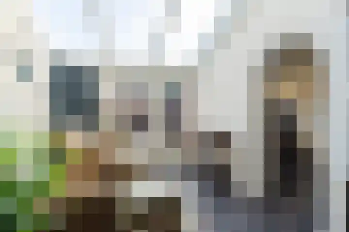 Mr. Simon Buijsstraat 16 Geertruidenberg thumbnail 11