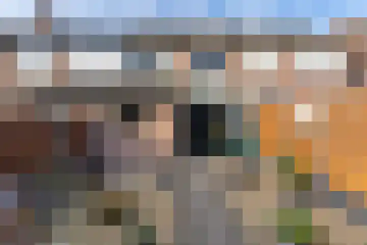 Mr. Simon Buijsstraat 16 Geertruidenberg thumbnail 27