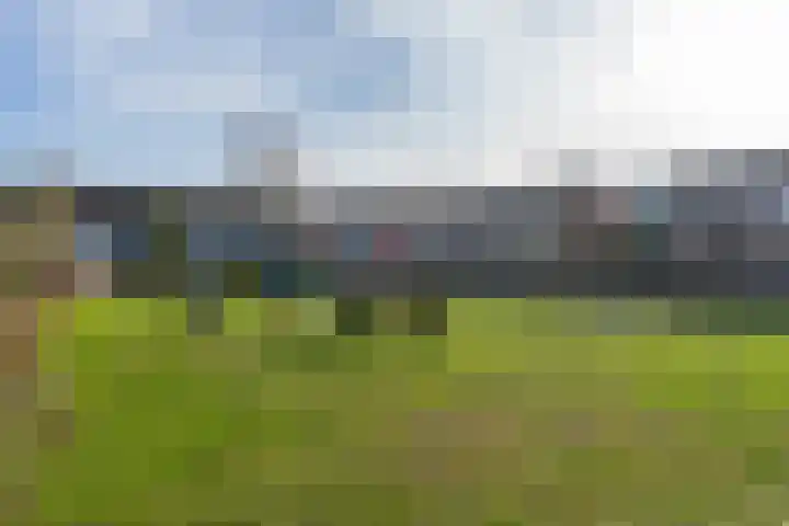 Mr. Simon Buijsstraat 16 Geertruidenberg thumbnail 32