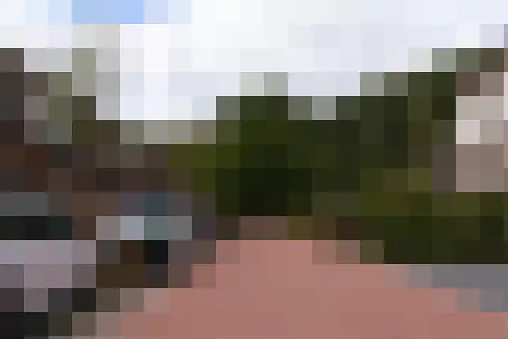 Mr. Simon Buijsstraat 38 Geertruidenberg thumbnail 6