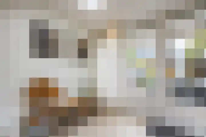 Mr. Sprenger van Eykstraat 2 a Waalwijk thumbnail 10