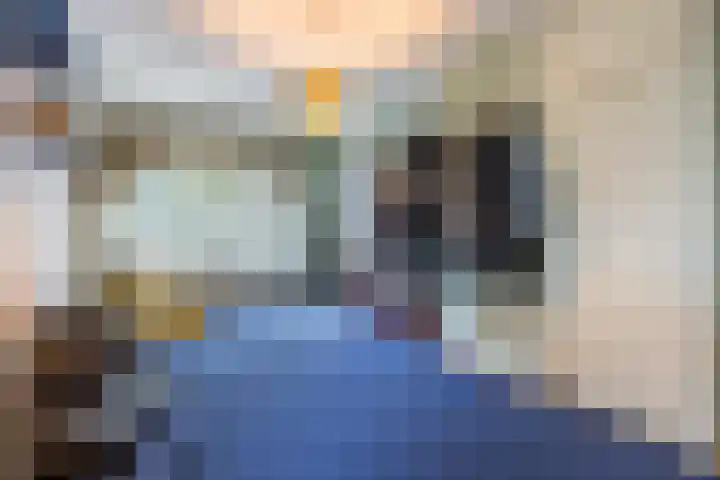 Mr. Sprenger van Eykstraat 2 a Waalwijk thumbnail 20