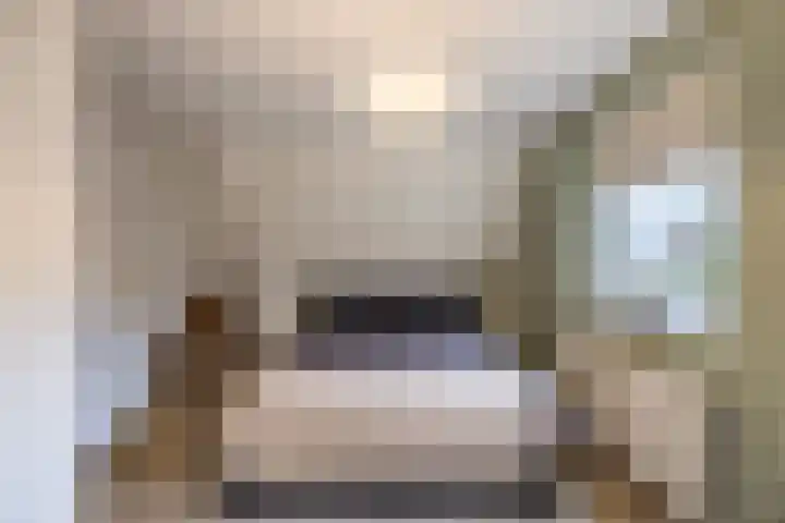 Mr. Sprenger van Eykstraat 2 a Waalwijk thumbnail 23