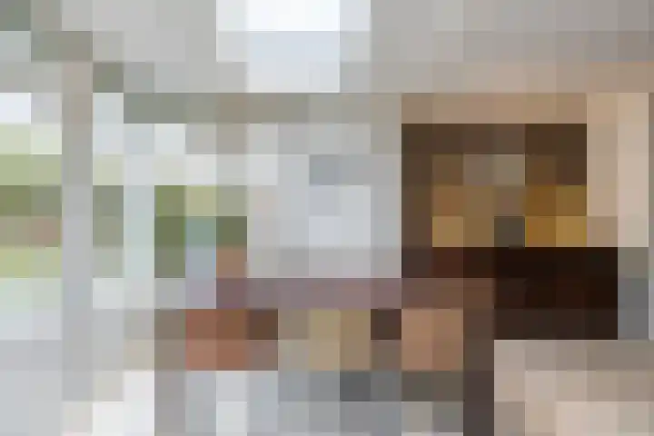 Mr. Sprenger van Eykstraat 2 a Waalwijk thumbnail 8