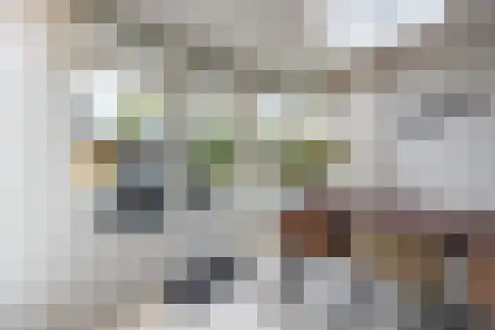 Mr. Sprenger van Eykstraat 2 a Waalwijk thumbnail 9