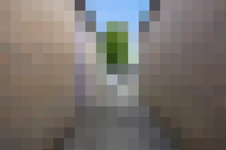 Mr. Sprenger van Eykstraat 2 Waalwijk thumbnail 29