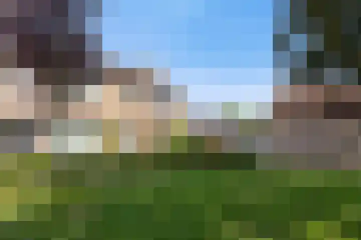Mr. Sprenger van Eykstraat 2 Waalwijk thumbnail 32