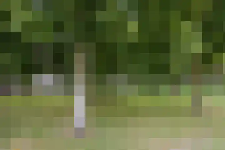 Mr. Sprenger van Eykstraat 2 Waalwijk thumbnail 33