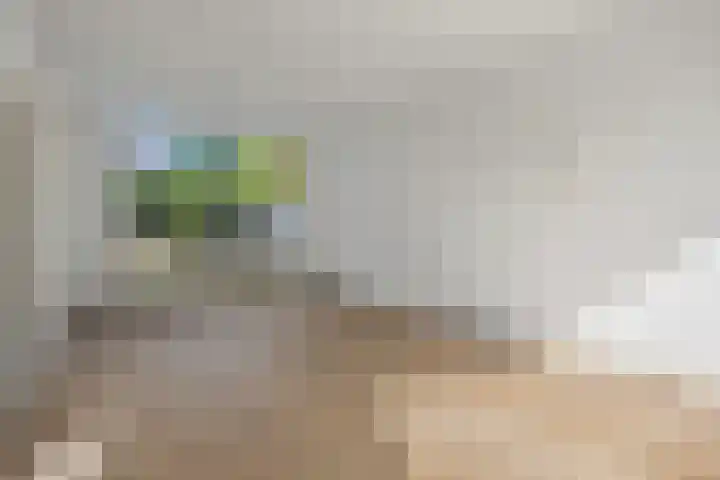 Mr. Sprenger van Eykstraat 2 Waalwijk thumbnail 7