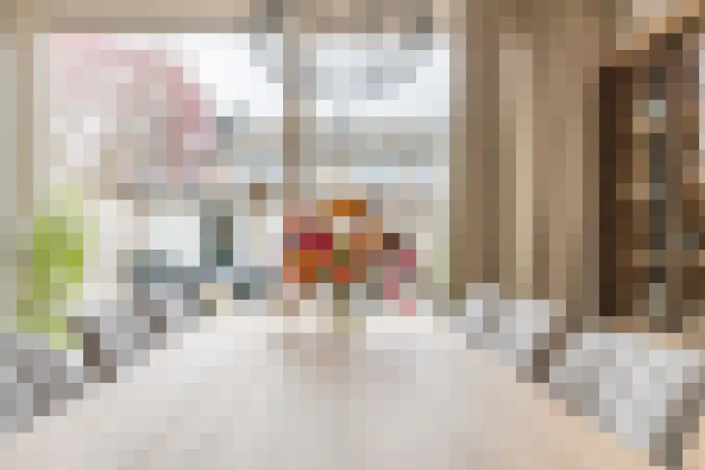 Mr. Sprenger van Eykstraat 9 Waalwijk thumbnail 12