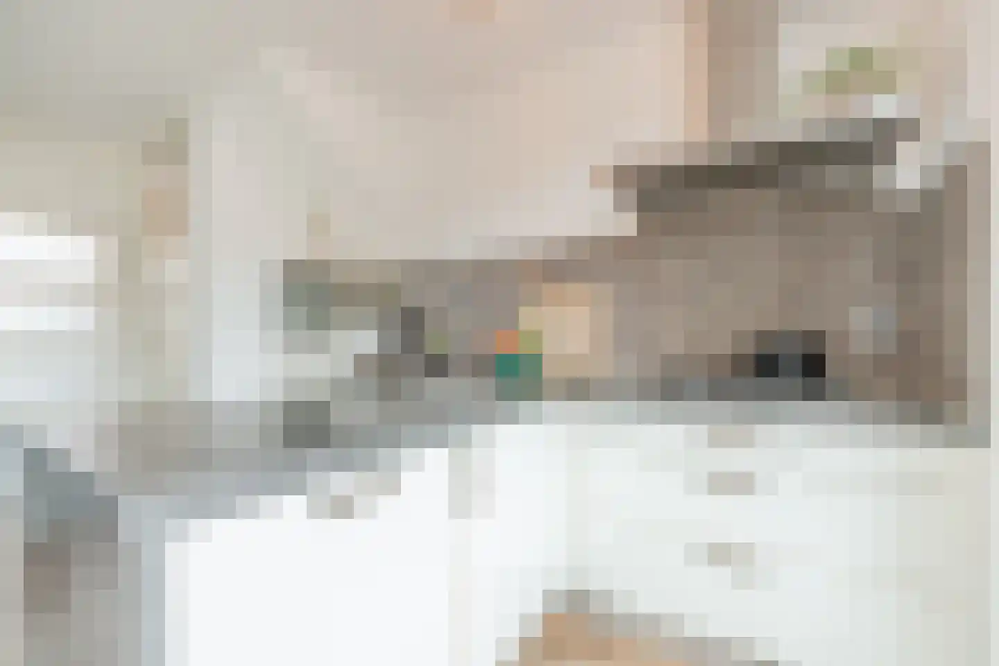 Mr. Sprenger van Eykstraat 9 Waalwijk thumbnail 13