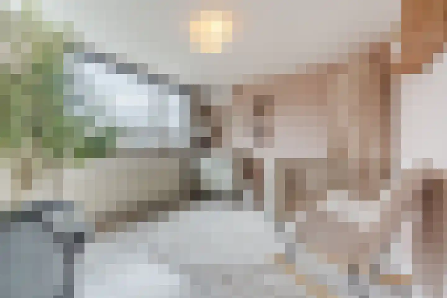 Mr. Sprenger van Eykstraat 9 Waalwijk thumbnail 25