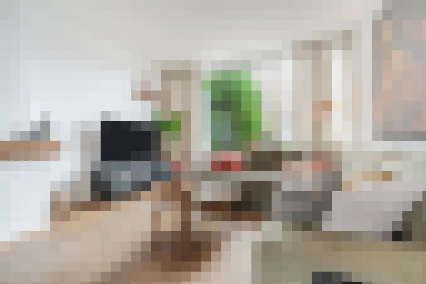 Mr. Sprenger van Eykstraat 9 Waalwijk thumbnail 4