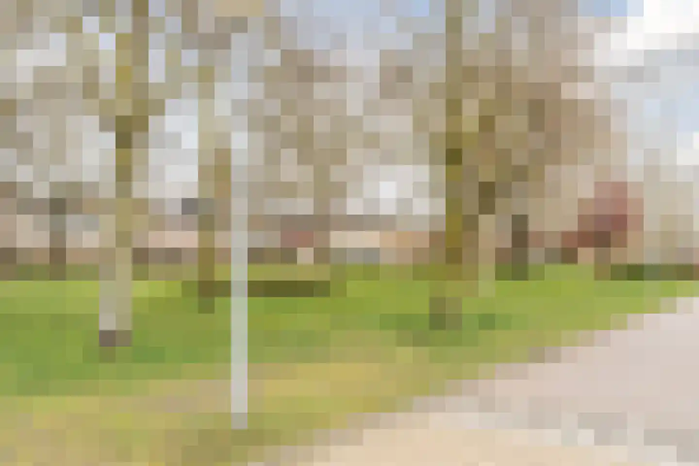 Mr. Sprenger van Eykstraat 9 Waalwijk thumbnail 46