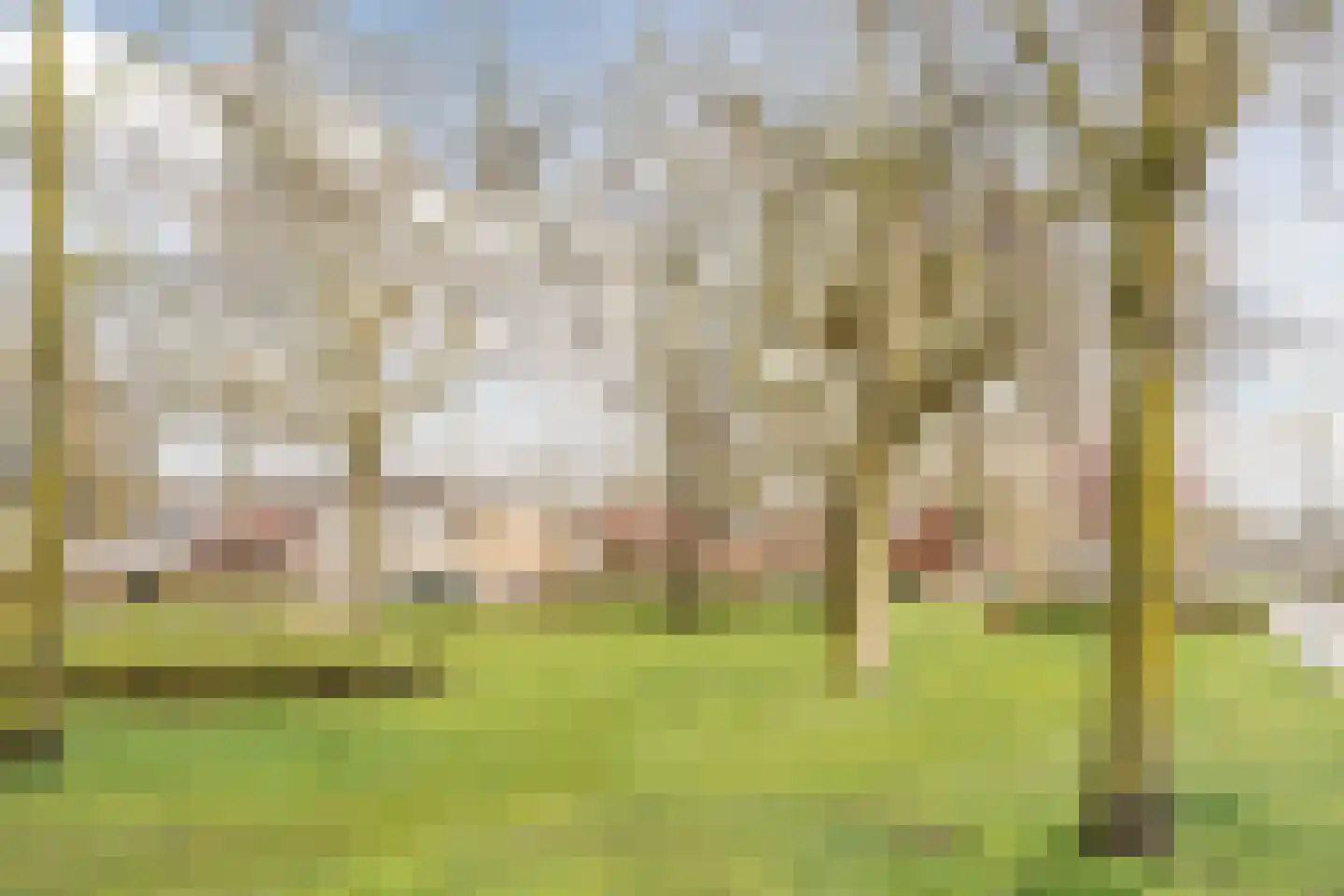 Mr. Sprenger van Eykstraat 9 Waalwijk thumbnail 47