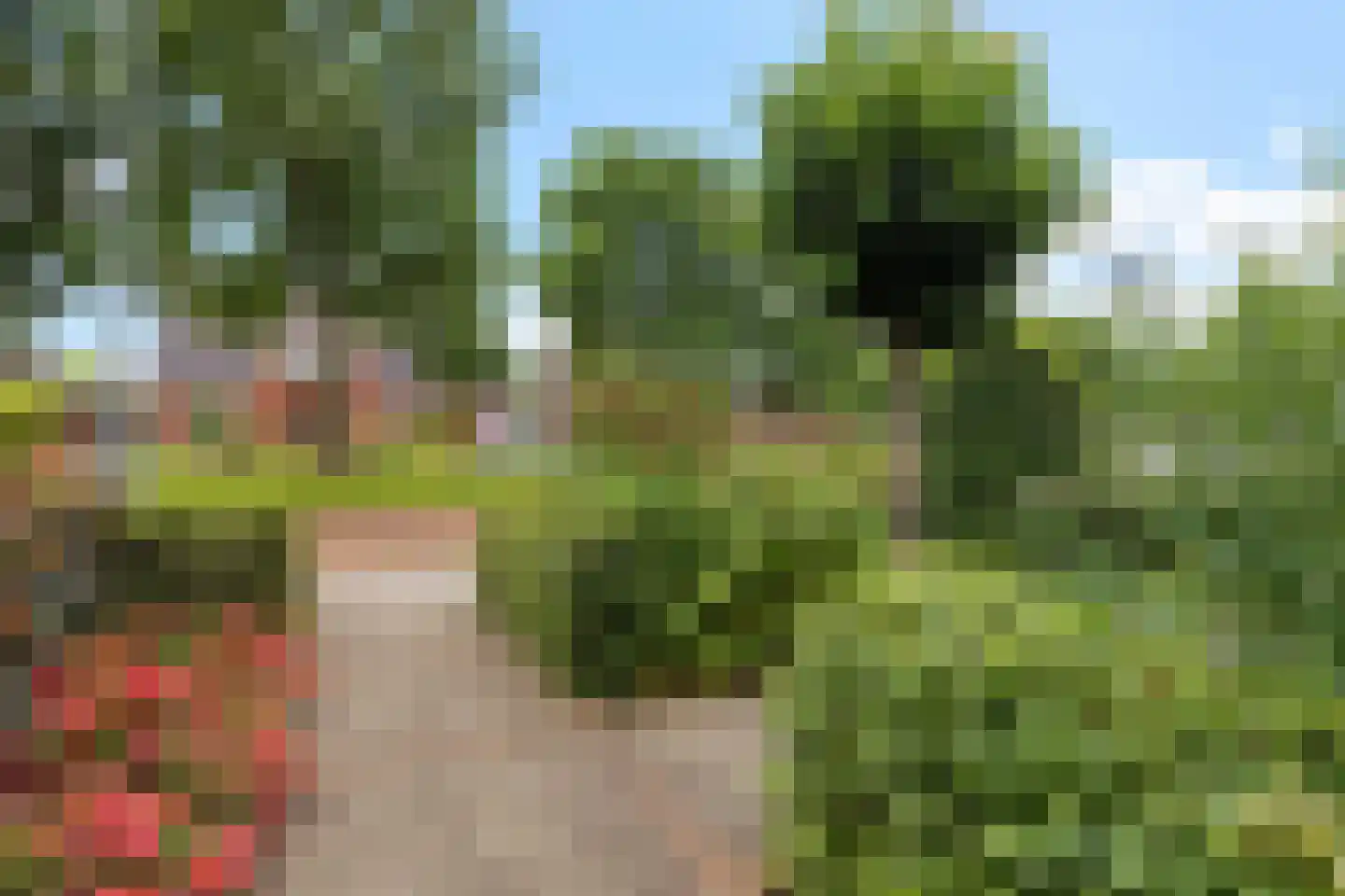 Mr. Synco Reyndersplein 11 Appingedam thumbnail 47
