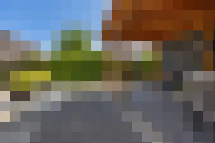 Mr. Synco Reyndersplein 16 Appingedam thumbnail 12