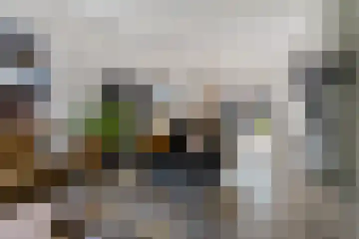 Mr. Synco Reyndersplein 16 Appingedam thumbnail 23