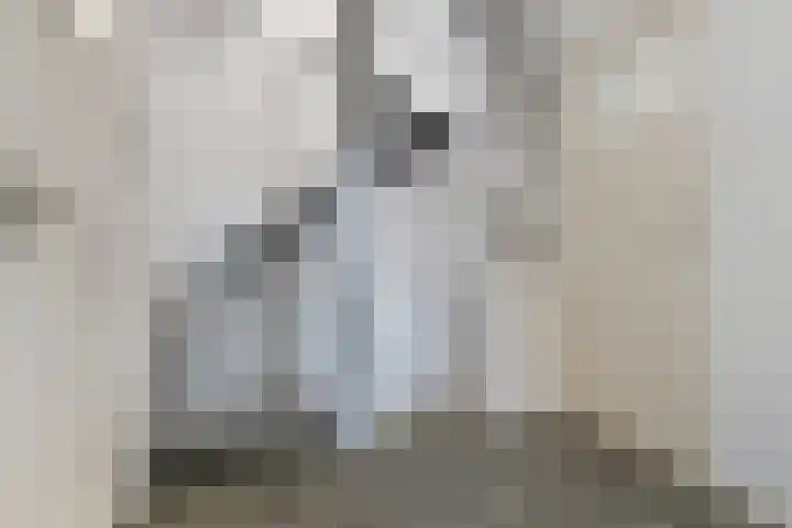 Mr. Synco Reyndersplein 16 Appingedam thumbnail 36