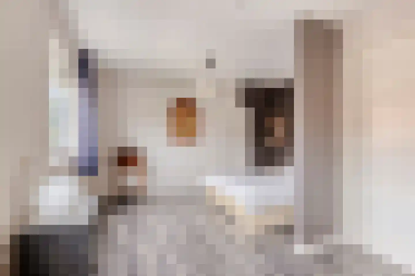 Mr. T.J. Verschuurstraat 18 Best thumbnail 19