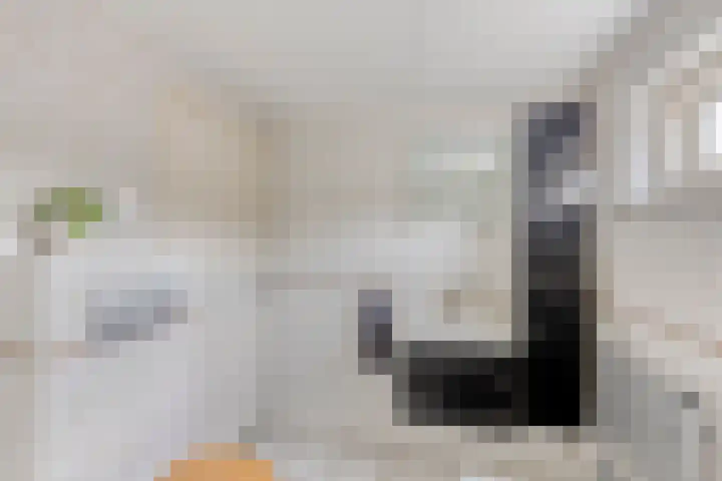 Mr. T.J. Verschuurstraat 18 Best thumbnail 24