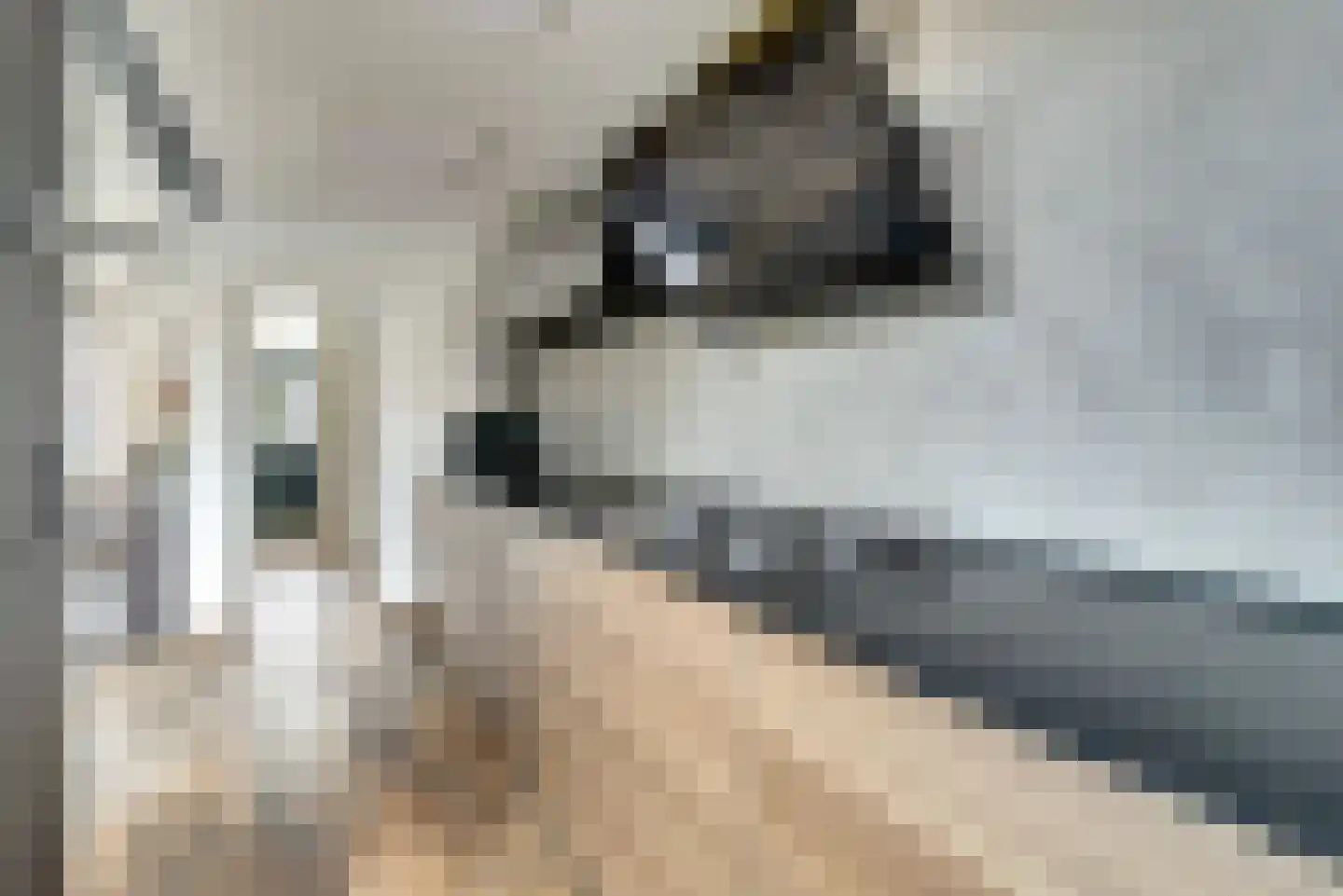 Mr. T.J. Verschuurstraat 20 Best thumbnail 13