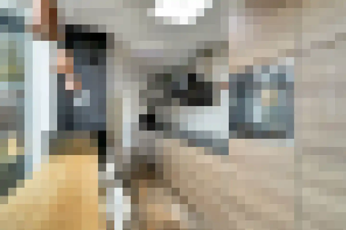 Mr. T.J. Verschuurstraat 20 Best thumbnail 14
