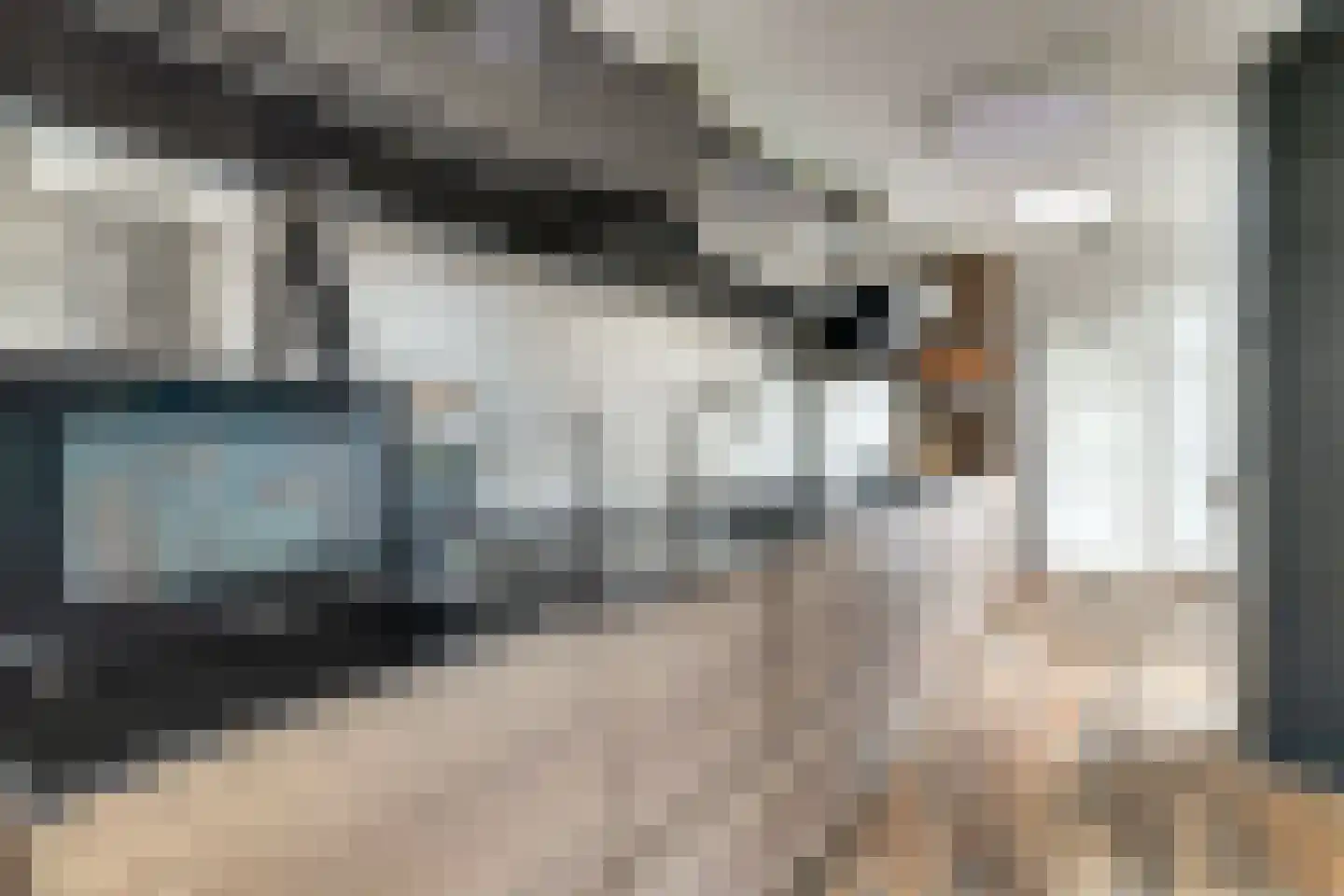 Mr. T.J. Verschuurstraat 20 Best thumbnail 16