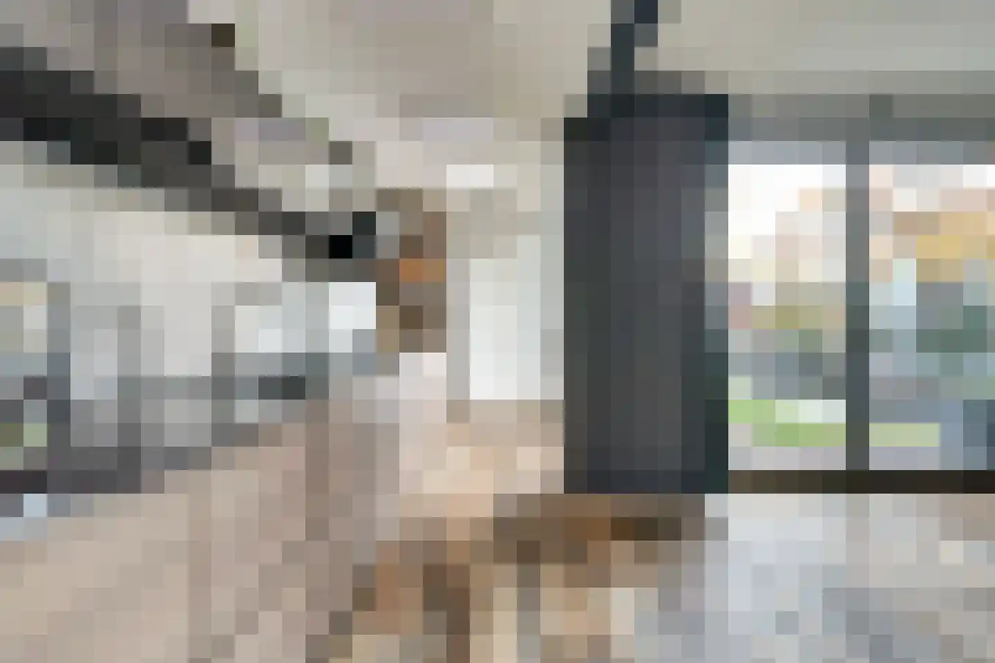 Mr. T.J. Verschuurstraat 20 Best thumbnail 17