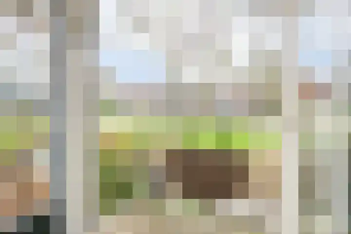Mr. Th. Heemskerklaan 47 A Amersfoort thumbnail 13