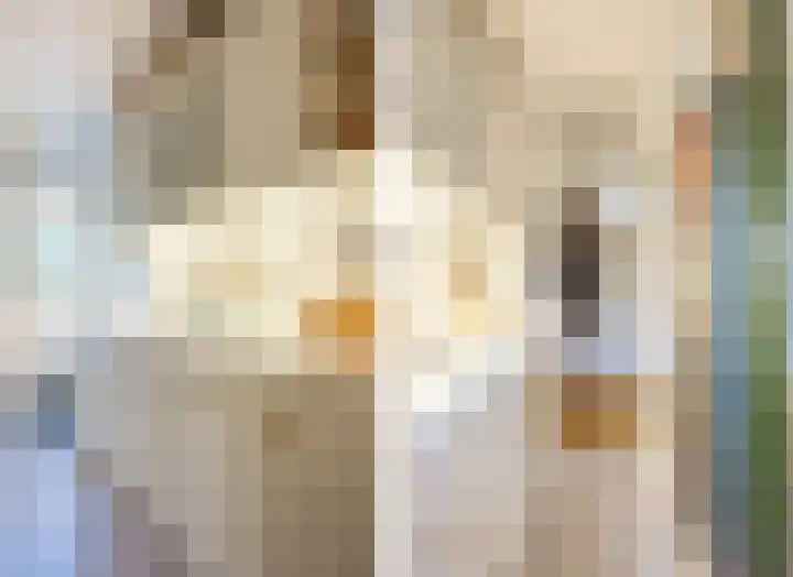 Mr. Th. Heemskerklaan 47 A Amersfoort thumbnail 17