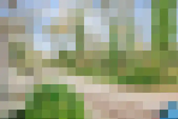 Mr. Th. Heemskerklaan 47 A Amersfoort thumbnail 20