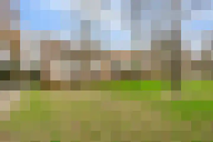 Mr. Th. Heemskerklaan 47 A Amersfoort thumbnail 27