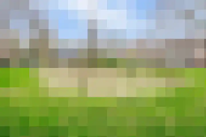 Mr. Th. Heemskerklaan 47 A Amersfoort thumbnail 28