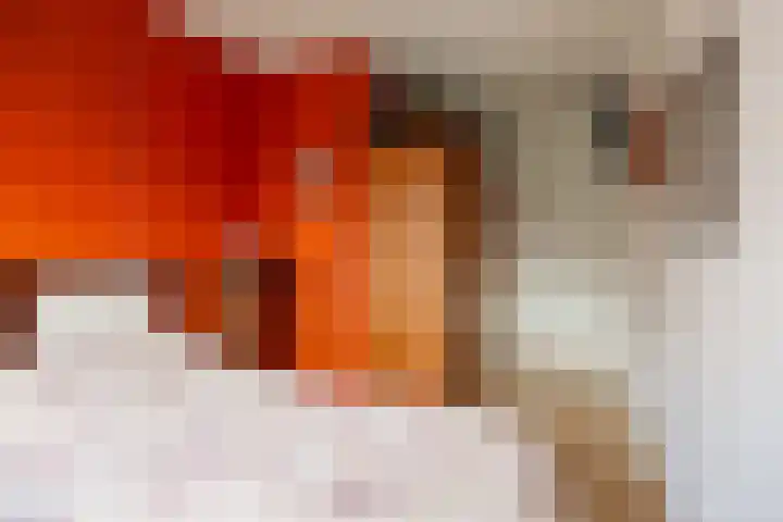 Mr. Th. Heemskerklaan 47 A Amersfoort thumbnail 8