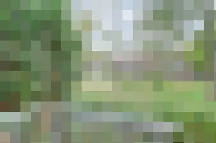Mr. Th. Heemskerklaan 49 A Amersfoort thumbnail 17