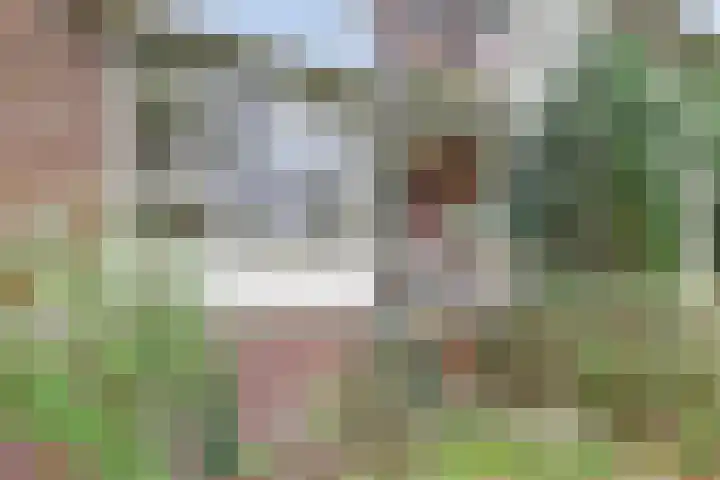 Mr. Th. Heemskerklaan 49 A Amersfoort thumbnail 5