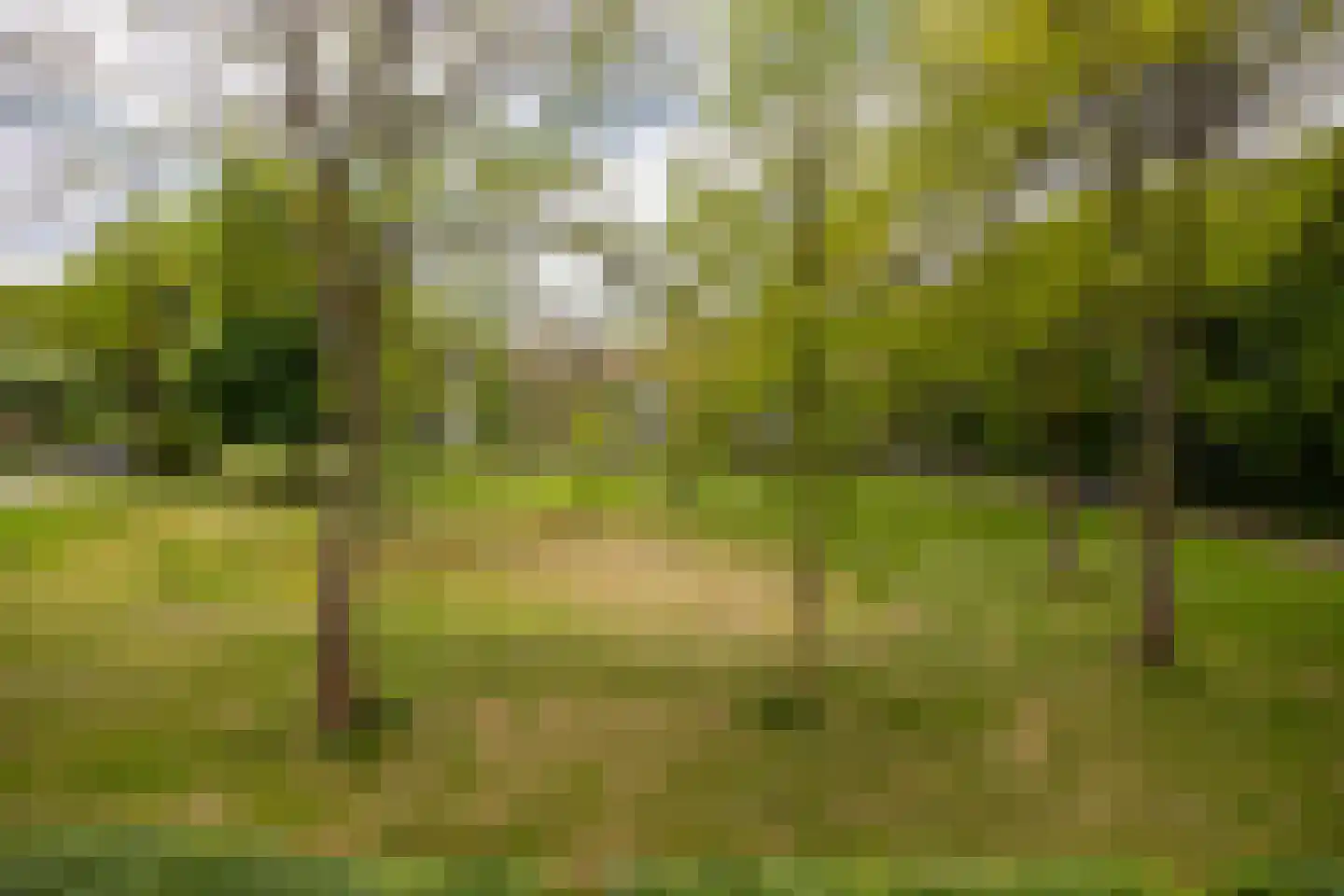 Mr. Th. Heemskerklaan 51 B Amersfoort thumbnail 16