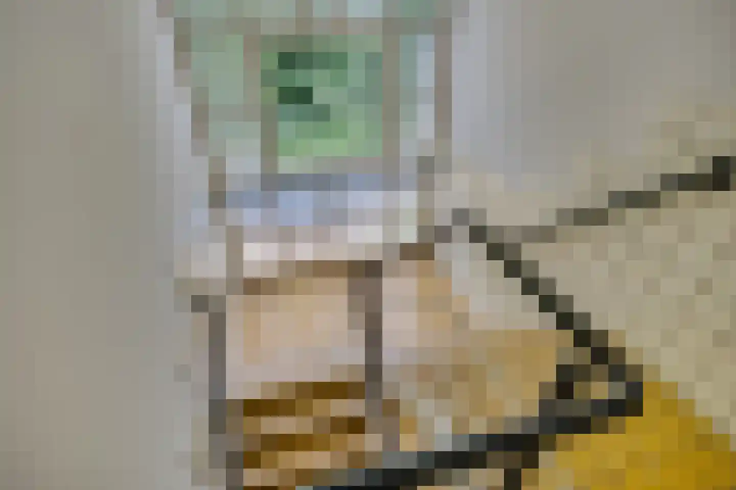 Mr. Th. Heemskerklaan 51 B Amersfoort thumbnail 31