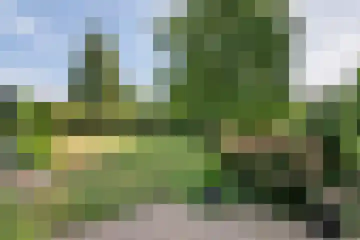 Mr. Thorbeckestraat 15 Tiel thumbnail 10