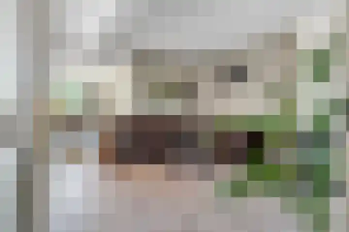 Mr. Thorbeckestraat 15 Tiel thumbnail 17