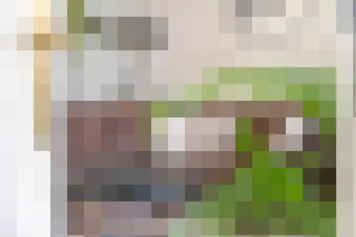 Mr. Thorbeckestraat 15 Tiel thumbnail 18