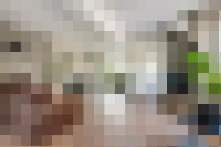 Mr. Thorbeckestraat 15 Tiel thumbnail 19