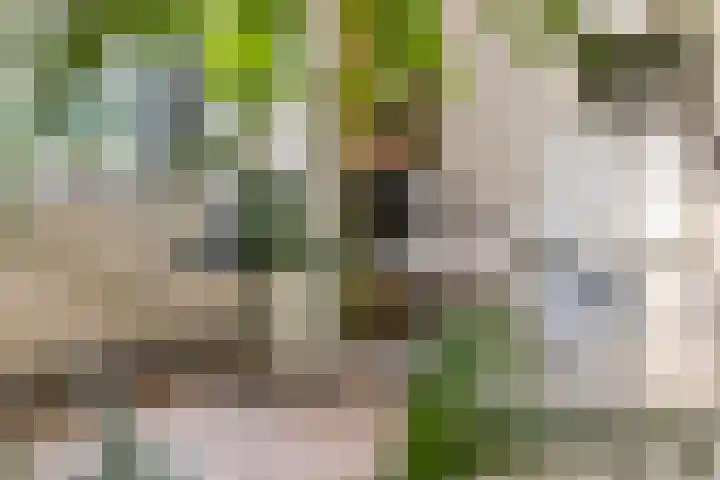 Mr. Thorbeckestraat 15 Tiel thumbnail 23