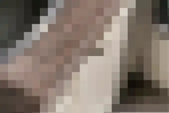 Mr. Thorbeckestraat 15 Tiel thumbnail 27