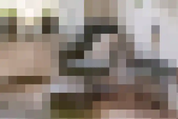 Mr. Thorbeckestraat 15 Tiel thumbnail 30