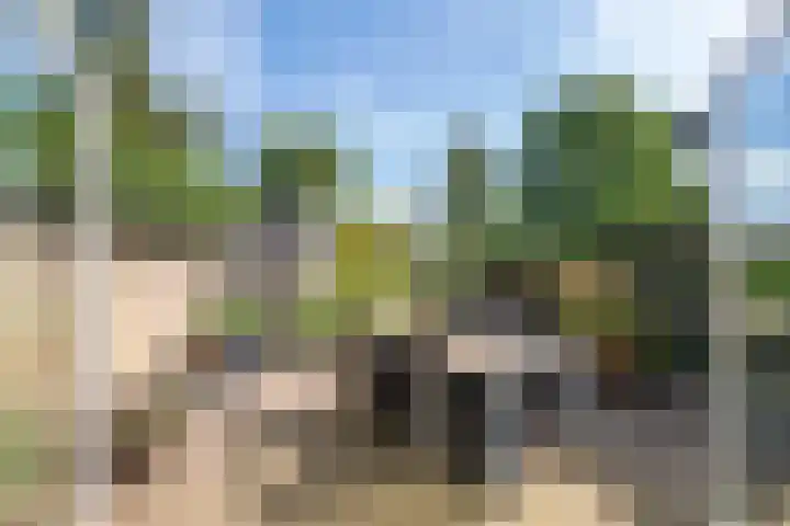 Mr. Thorbeckestraat 15 Tiel thumbnail 32