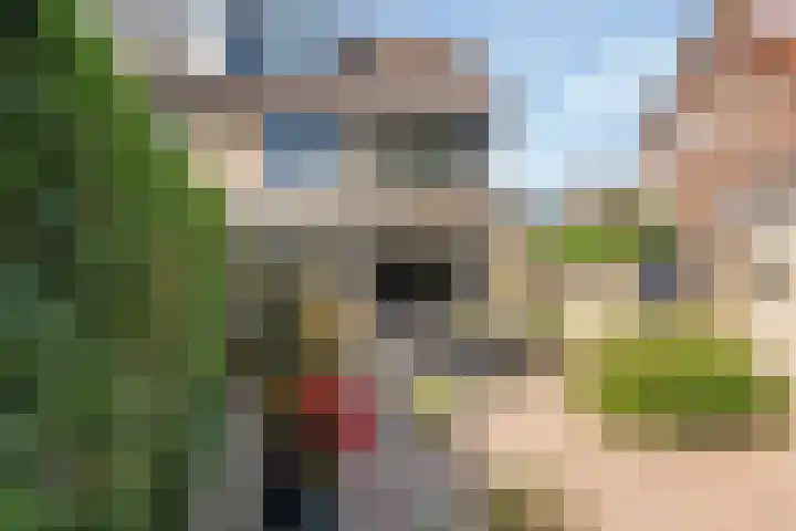 Mr. Thorbeckestraat 15 Tiel thumbnail 35
