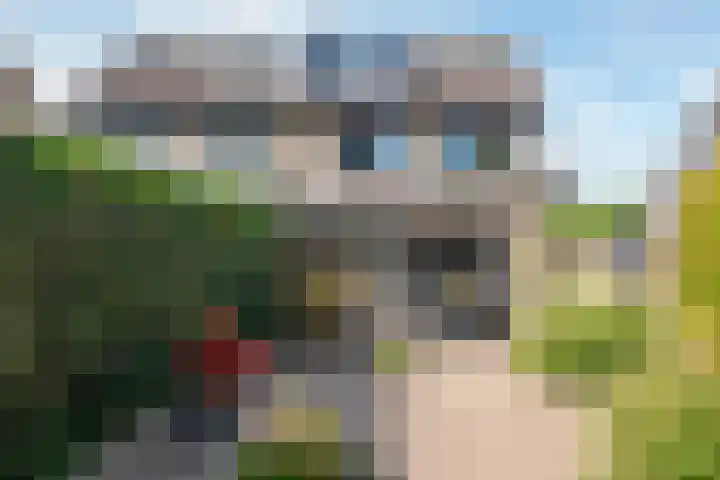 Mr. Thorbeckestraat 15 Tiel thumbnail 36